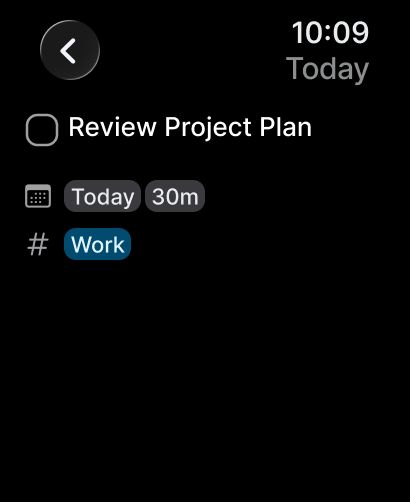 Task details on Apple Watch with a checkbox, the planned day, a 30 minute duration and the Work project.